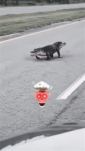 Mythical Beasts That Look Unreal 😱 | Two Headed Animals & Fantasy Creatures#MythicalBeasts #Fantasy