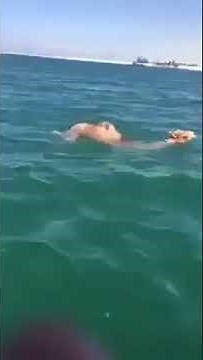 Camels Can Swim in the Sea - WOW