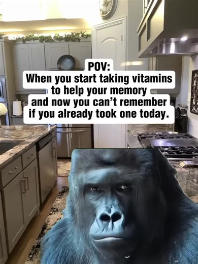 Did I Take It? Funny Meme Compilation