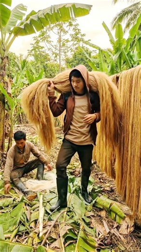 All about Abaca Fiber 🌿🍌