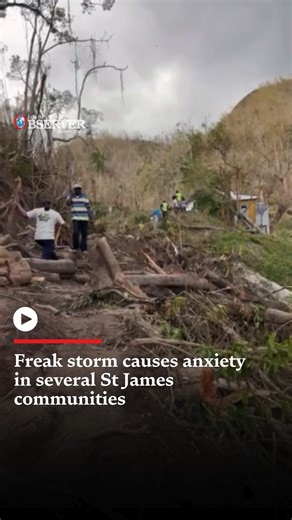 High winds triggered panic in several St James communities on Friday afternoon. South St James was the area that felt it the most, and for Marcia Anderson, a resident of the Tangle River community, it was frightening. https://www.jamaicaobserver.com/2025/11/07/freak-storm-causes-anxiety-several-st-james-communities/ | The Jamaica Observer