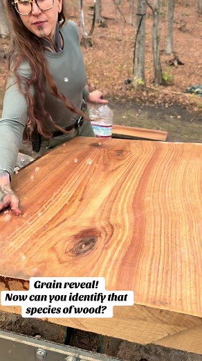 Identify the Wood Species: Test Your Knowledge