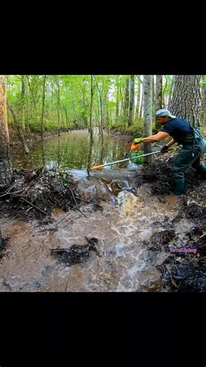 Beaver Dam Removal! || Ooo Yeaah!! 🌊 #beaverdamremoval #beaverdam #beaverdamcreek #beavers #drain #water #terrellspivey #fypシ゚ #foryoupageシ #foryou #viralvideo #viralFBvideo #FBVIDEO #fb #viralfb #viralreelsシ #fbreels | Terrell Spivey