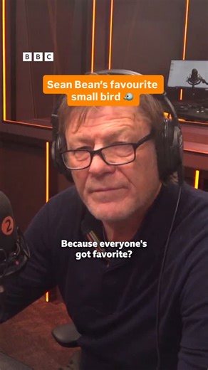 BBC Radio 2 on Instagram: "What is Sean Bean’s favourite small bird? 🐦 🦅 Listen to Sean’s chat with Dermot on BBC Sounds 🧡"