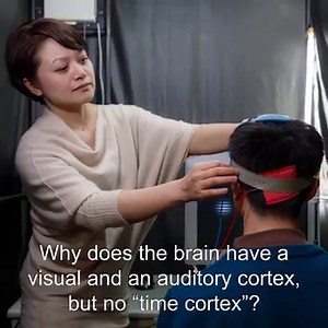 34 reactions | 【Interview: UTOKYO VOICES】Why does the Brain have a Visual and an Auditory Cortex, but no Time Cortex? Yuko Yotsumoto, Associate Professor, Graduate School of Arts and Sciences, Department of Life Sciences https://www.u-tokyo.ac.jp/focus/en/features/voices028.html | The University of Tokyo / UTokyo | Facebook