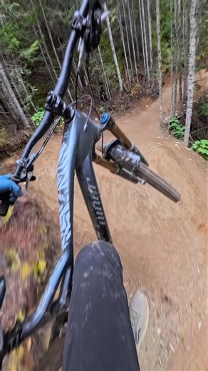 This trail is like a roller coaster for bikes!
