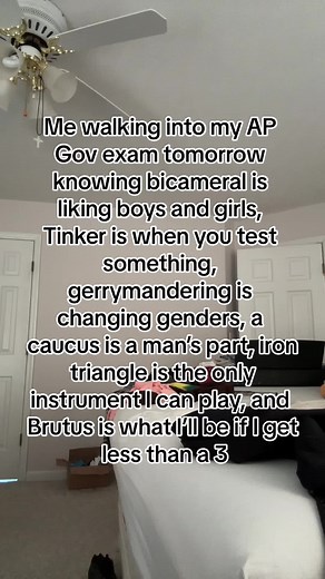 AP Government Exam Prep Strategies and Tips