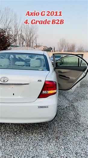 Unveiling the Axio G 2011: A Star Among Motors