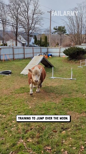 Unexpected Fails Of The Week! | FailArmy