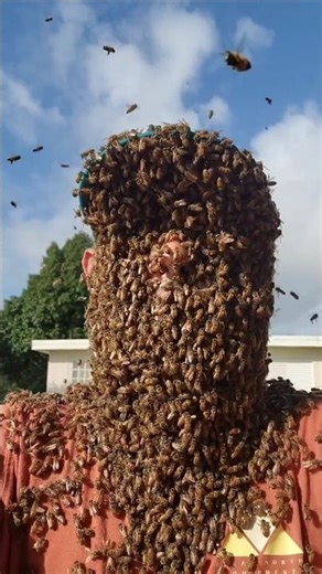 Can a bee kill a human? #shorts