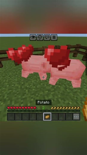 How to breed Pigs #minecraft #gaming #minecraftshorts
