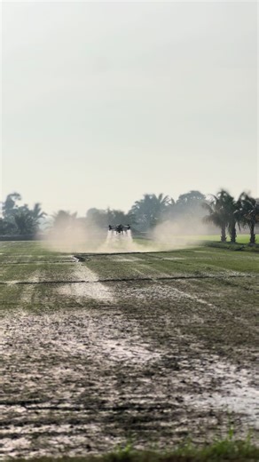 Exploring the Role of Young Farmers in Agriculture