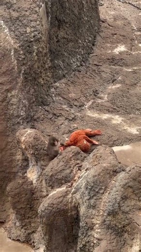 very sad 😔 🙏 #viralvideo #firstvideo #trendingshorts #lifeisbutadream