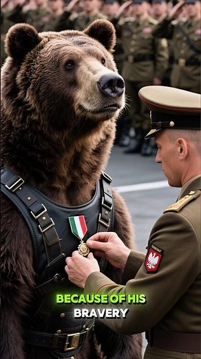 The Extraordinary Life of the Soldier Bear