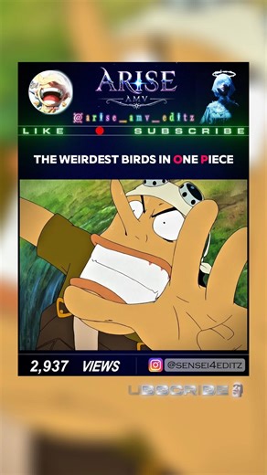 The weirdest birds in One Piece #onepiece #ussop #luffy
