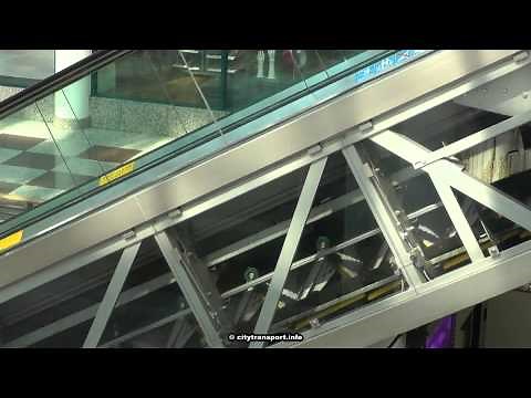 See How Escalators Work!