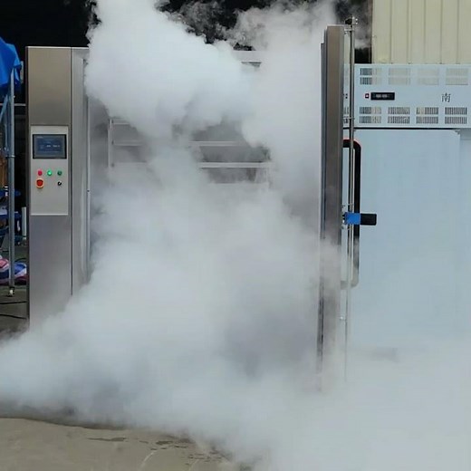 Cryogenic Controlled Freezer - Liquid nitrogen freezer（-196℃ ultra low temperature freezing）2022