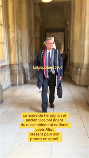 L’ancien vice-président du Rassemblement national, Louis Aliot condamné pour détournement de fonds publics par le tribunal correctionnel de Paris, à 6 mois ferme sous bracelet électronique et à une peine d'inéligibilité de 3 ans. Il est présent pour son procès en appel#proces #rn #tribunal