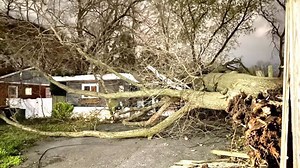 Power restored to thousands of DMV residents following damage from strong winds