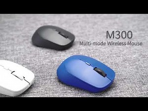 RAPOO Multi-mode Wireless Mouse-M300 Silent