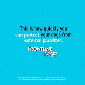 With a quick and easy application, Frontline Spray® is your ally in the fight against pesky parasites. 🕷️ | Frontline Caribbean