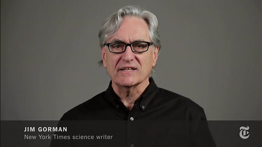 ScienceTake | How Dogs Drink