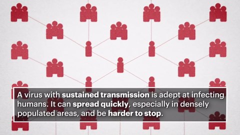 How do viruses spread?