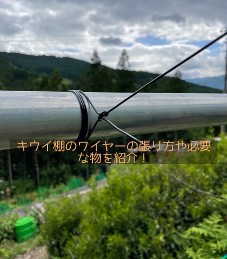 ぶどう,キウイ棚ワイヤーの張り方,太さ,間隔等簡単なやり方を紹介! | On the way to be a farmer/榊農家への挑戦