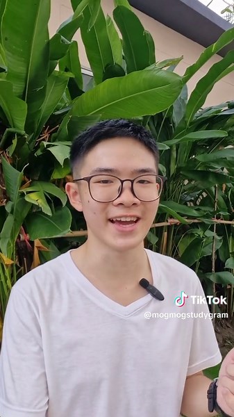 ใช้ Goodnotes บน Android: เปรียบเทียบกับ iPad