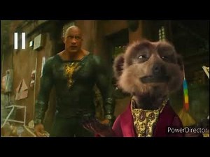 Compare The Meerkat Black Adam Advert 2022