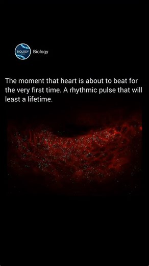 Biology | One way to capture this moment, microscope and fluorescence proteins. 📹 by nature video (yt) #biotechnologylab #molecularbiology... | Instagram