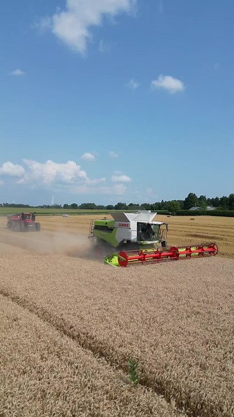 With this LEXION 7400 wheat harvest is as easy as 1-2-3! Wondering how to improve grain loss & fuel efficiency, as well as how to put more acres in a day? Book a demo and we can show you all that and more! 🌾 #gjsharvestcentre #ontag #claas #lexion #wheatharvest #harvest