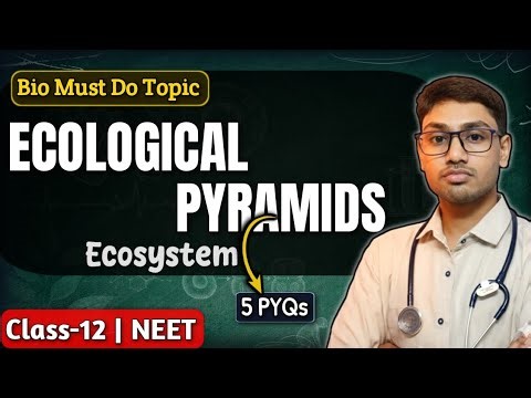 “Ecological Pyramids” in 7 min | Class 12 Biology: Ecosystem | NEET