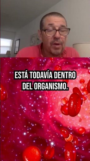 How food is absorbed: what happens in the digestive tract