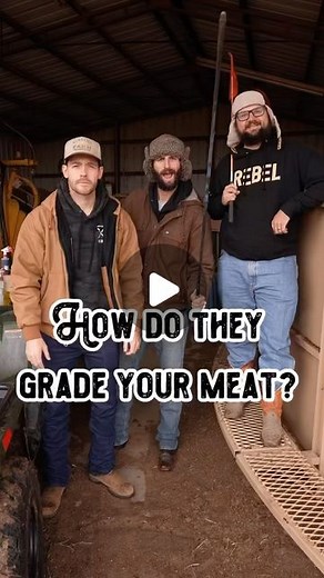 Noah Young on Instagram: "What’s the difference between Select, Choice & Prime beef? 🥩🤔 The USDA grades beef based on how much fat is in the meat. The more fat and marbling, the higher the grade. #meat #beef #beeflover #education #funfact #fact #facts #didyouknow #tip #tips #education #educational #cow #cows #cattle #farm #farming #ranch #ranching #theshilohfarm"
