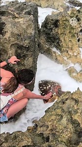 Trapped Sea Turtle Saved From Crashing Ocean Waves! 🐢🌊 #shorts #animallover #rescue