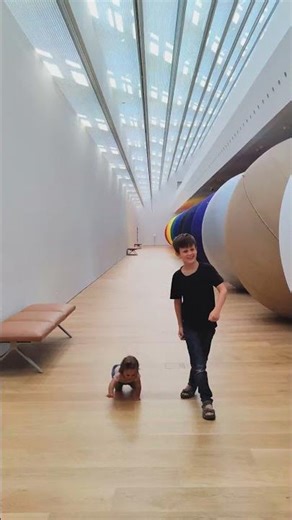 Exploring a Chicago Museum 🏛️✨ | Art, History & Culture | 4K #travel #shorts #chicago