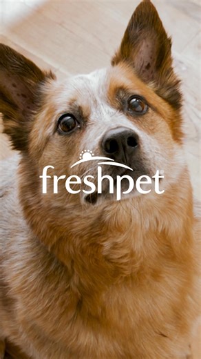 Freshpet is made with: 🍗 Healthy protein 🫐 Antioxidant-rich fruit 🥕 Nutrient-packed veggies 🥬Essential vitamins | Freshpet