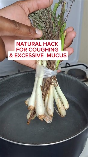 Clear Your Lungs Naturally: Thyme & Mullein Tea Recipe