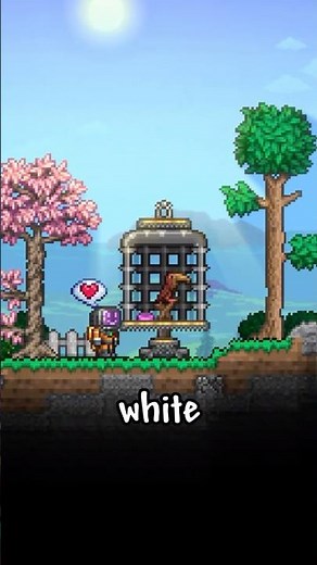 Quick Bird Cage Building Tips in Terraria 🦜#terraria