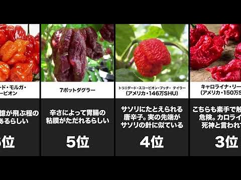 【辛すぎるよ】世界の辛い食べ物ランキング10選【比較】【ランキング】