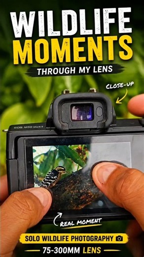 Wildlife Photography | Capturing a Beautiful Woodpecker 🐦🌿 | Canon M50 Mark II + 75-300mm