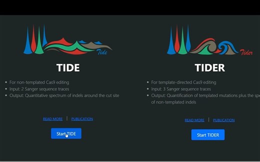 CRISPR敲除效率验证及相关引物设计