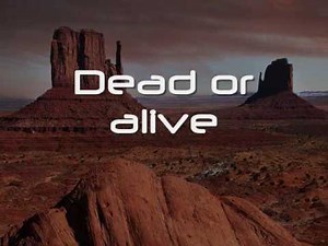 Wanted Dead or Alive Lyrics