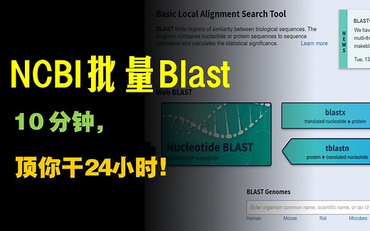 NCBI批量Blast后感叹：明明10分钟搞定的事情，活该我加班好几天