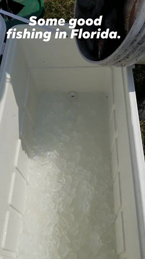 Fishing for hassa in Florida backdam. 😁 | Amin Hussain