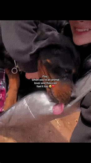 Mashallah 🫂❤️ @ابتسام 🇩🇿 #algeria #🇩🇿🇲🇦🇹🇳 #الشعب_الصيني_ماله_حل😂😂 #fyp #اكسبلور