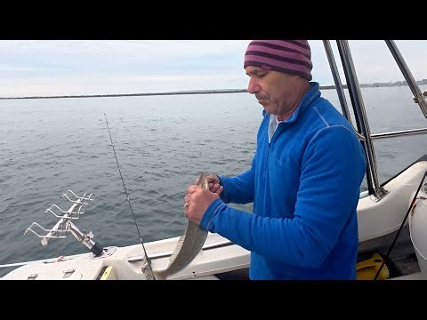 Happy Fisherman EP153 PPB fishing November 2025