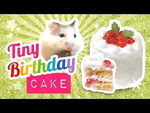 DIY Edible Miniature Cake for Hamsters or Humans! Make A Mini Birthday Cake ♥