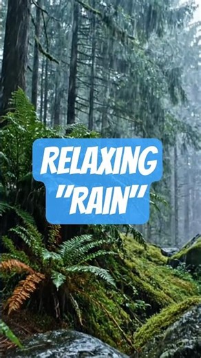 Relaxing Tropical Rain in the Forest 🌧️ Nature Sounds for Calm & Peace #Shorts